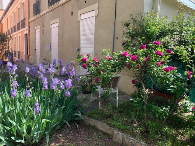 VILLA NOEMIE Studio - de 100 m des Thermes - Appartement 1 Chambre - 8