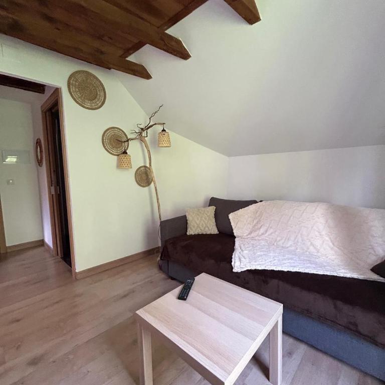 APARTAHOTEL CANFRANC - Apartamento Ático - 7