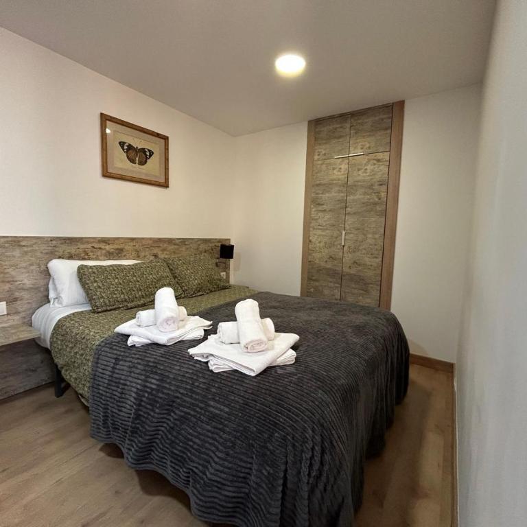 APARTAHOTEL CANFRANC - Apartamento de 1 dormitorio - 21