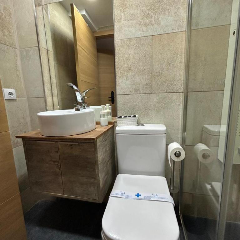 APARTAHOTEL CANFRANC - Apartamento de 1 dormitorio - 19
