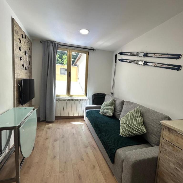 APARTAHOTEL CANFRANC - Apartamento de 1 dormitorio - 24