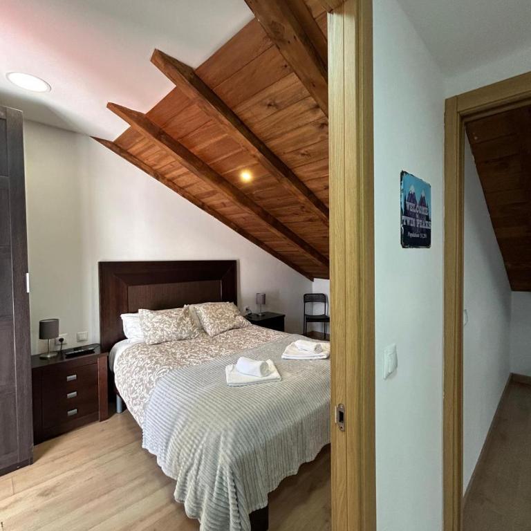 APARTAHOTEL CANFRANC - Apartamento Ático - 10