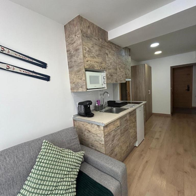 APARTAHOTEL CANFRANC - Apartamento de 1 dormitorio - 26