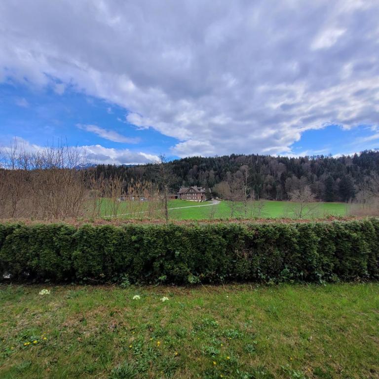 Garten-Wohnung in Adligenswil - Apartment mit 1 Schlafzimmer - 34