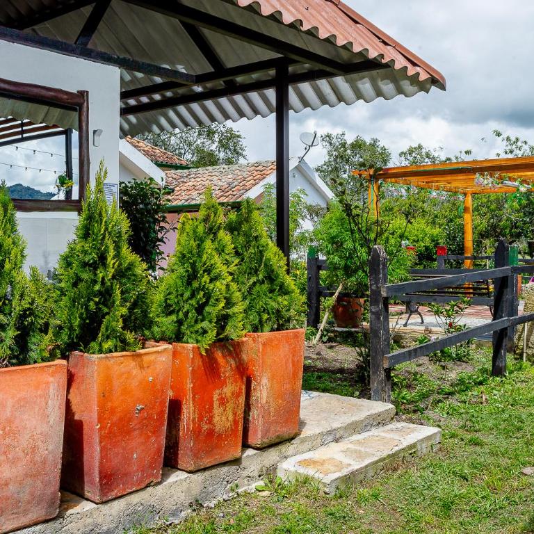 Finca Villa Andrea - Country House - Four-Bedroom House - 11