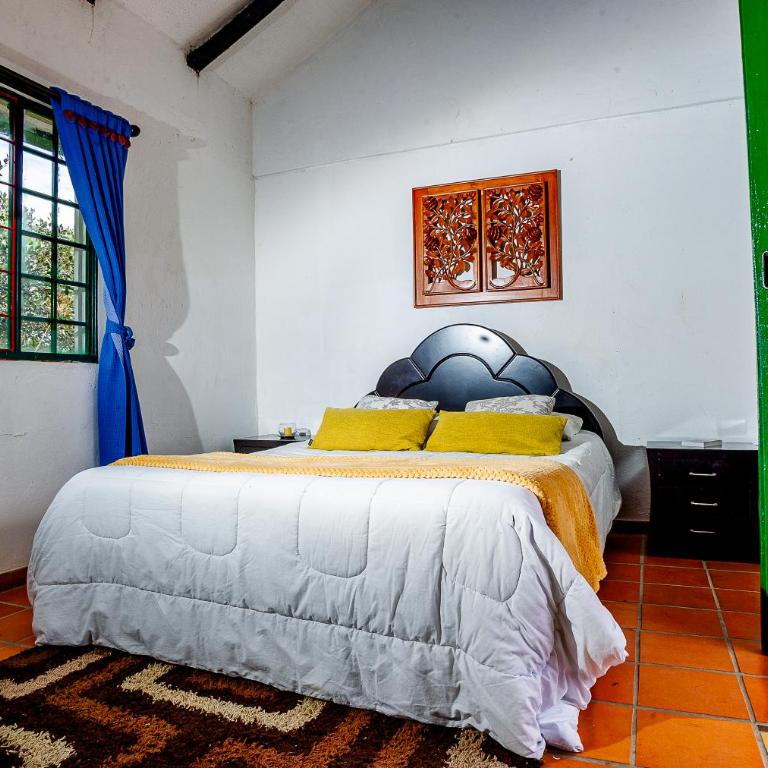 Finca Villa Andrea - Country House - Four-Bedroom House - 46