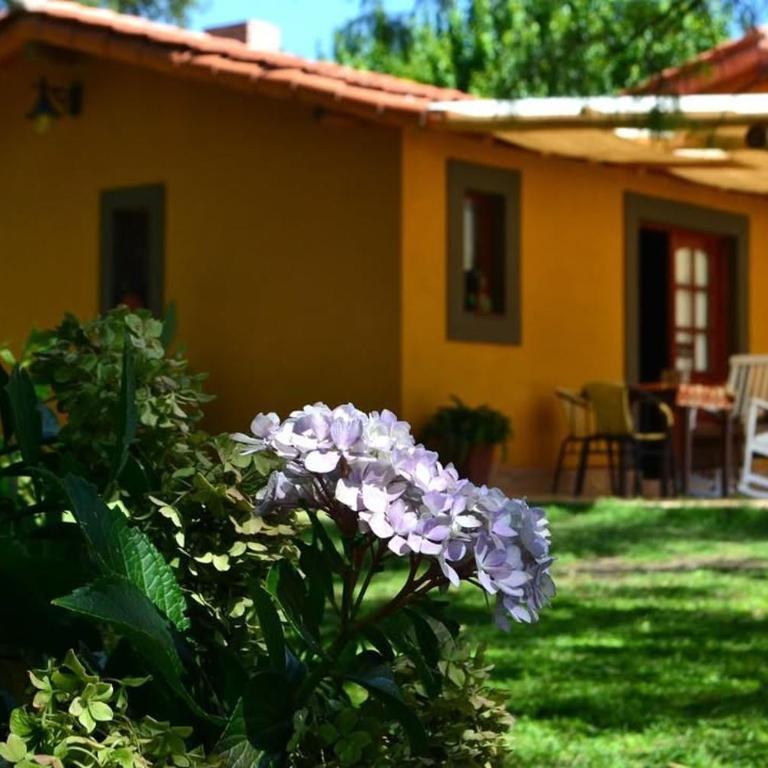 Posada La Ernestina Villa de las rosas - Quadruple Room with Garden View - 2