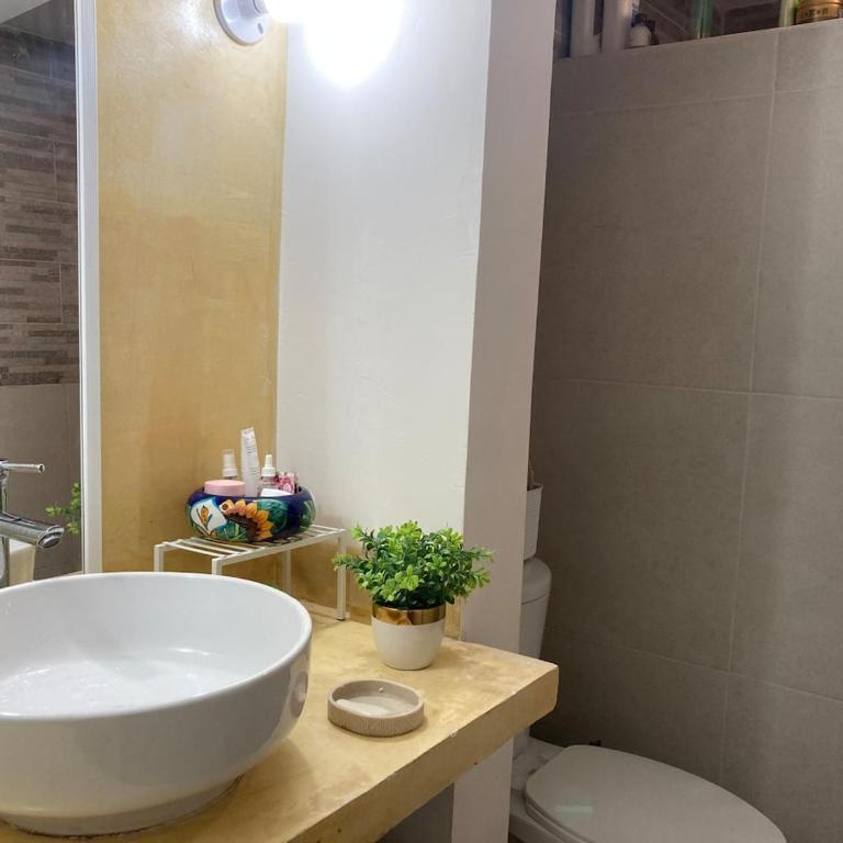Casa Cangrejos - Apartamento de 1 dormitorio - 12