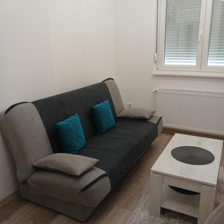 Apartman Simić Banja Koviljača - Apartman sa 1 Spavaćom Sobom - 3