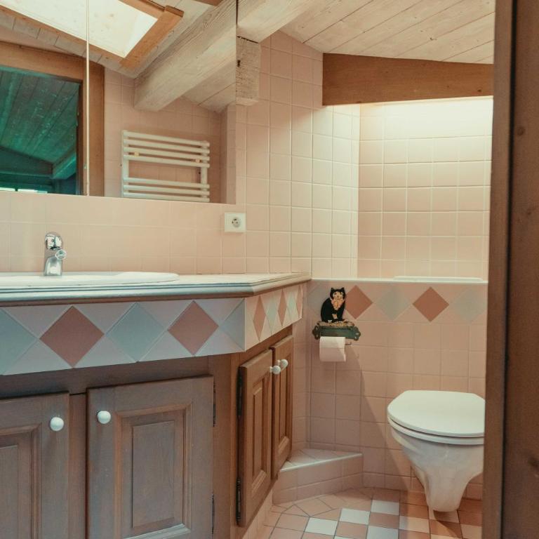Appartement 71m2 près de Megève, à 200m télécabine la Princesse, local à ski, 2 chambres, parking couvert - Appartement 2 Chambres avec Balcon et Terrasse - 21