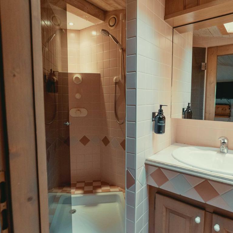 Appartement 71m2 près de Megève, à 200m télécabine la Princesse, local à ski, 2 chambres, parking couvert - Appartement 2 Chambres avec Balcon et Terrasse - 22