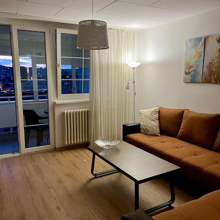 Elena Borik Centar - Apartman sa 1 Spavaćom Sobom - 1