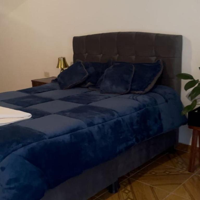 La Gruta Glamping - Casa - 11