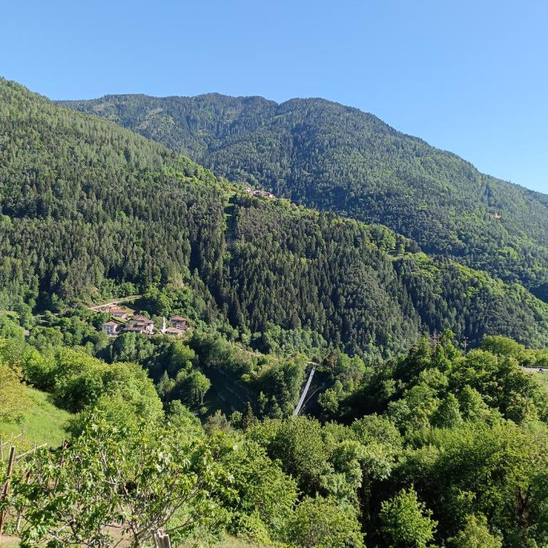 Casa MARGHERITA - Appartamento con 1 Camera da Letto - 38