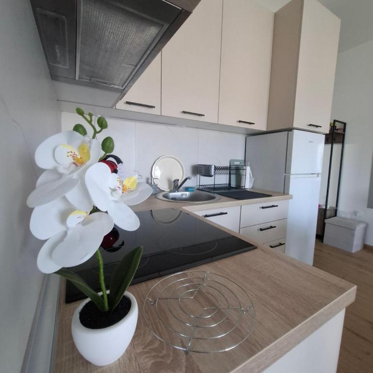 Apartman Srećko Lux - Apartment mit 2 Schlafzimmern - 11