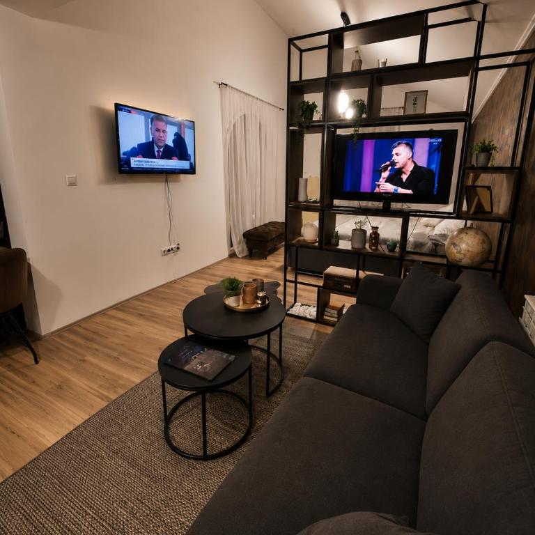 Sleep and Drive Panorama - Apartman sa 1 Spavaćom Sobom - 10