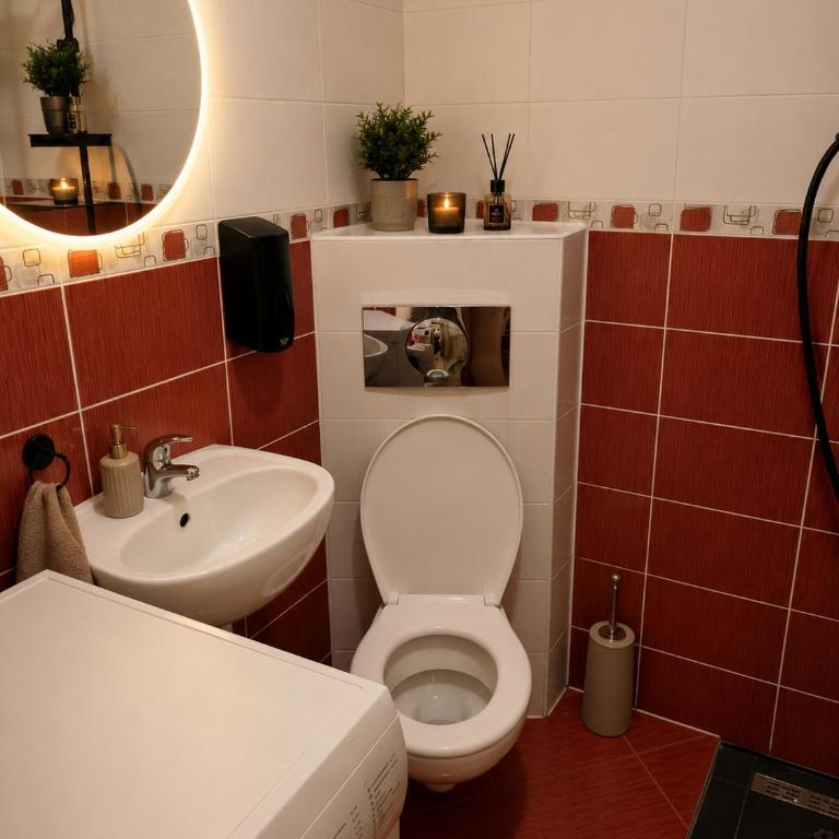 Sleep and Drive Panorama - Apartman sa 1 Spavaćom Sobom - 14