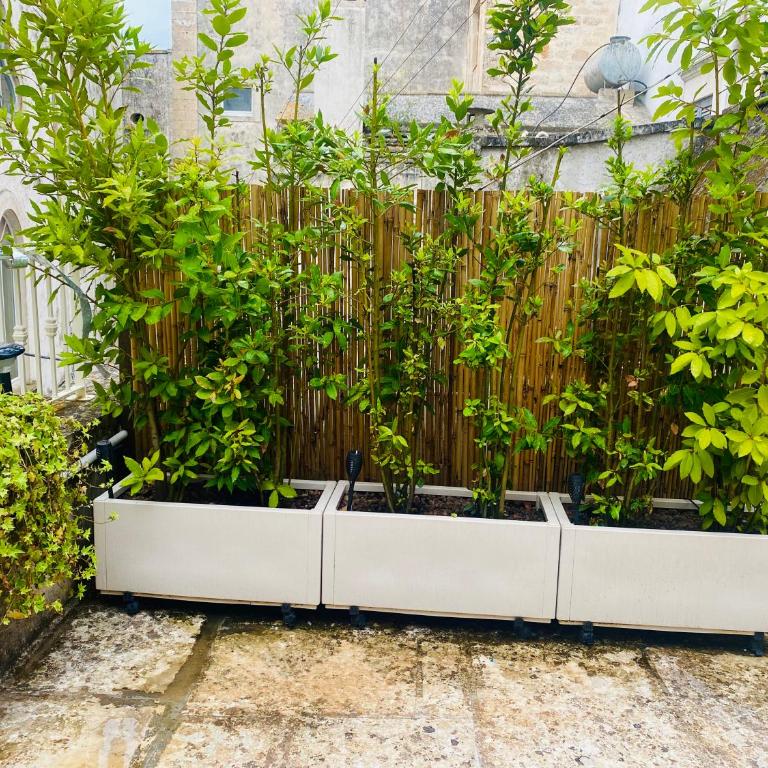 Porta Blu Apulia - Appartamento con 1 Camera da Letto - 2