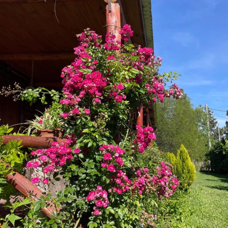 El Rincón de los Pájaros - Two-Bedroom House - 45