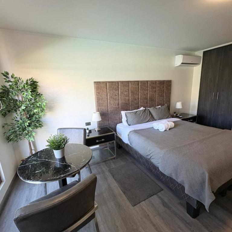 Espacio Bulnes - Studio Moderno Santiago Centro - Estudio con 1 cama grande - 5
