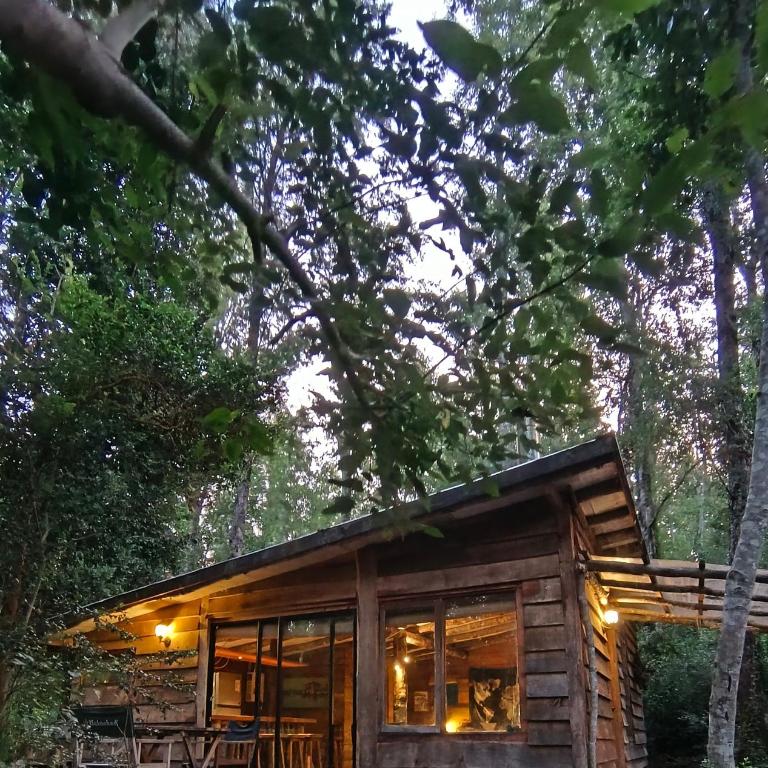 Refugio Nothofagus - One-Bedroom Chalet - 1