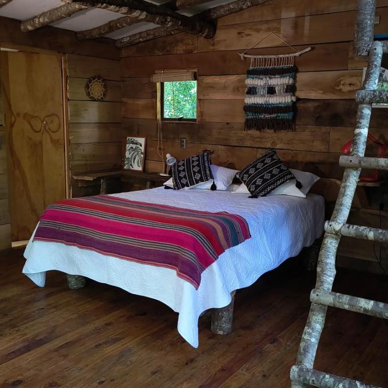 Refugio Nothofagus - One-Bedroom Chalet - 7