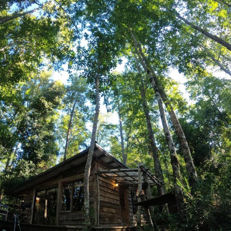 Refugio Nothofagus - One-Bedroom Chalet - 8
