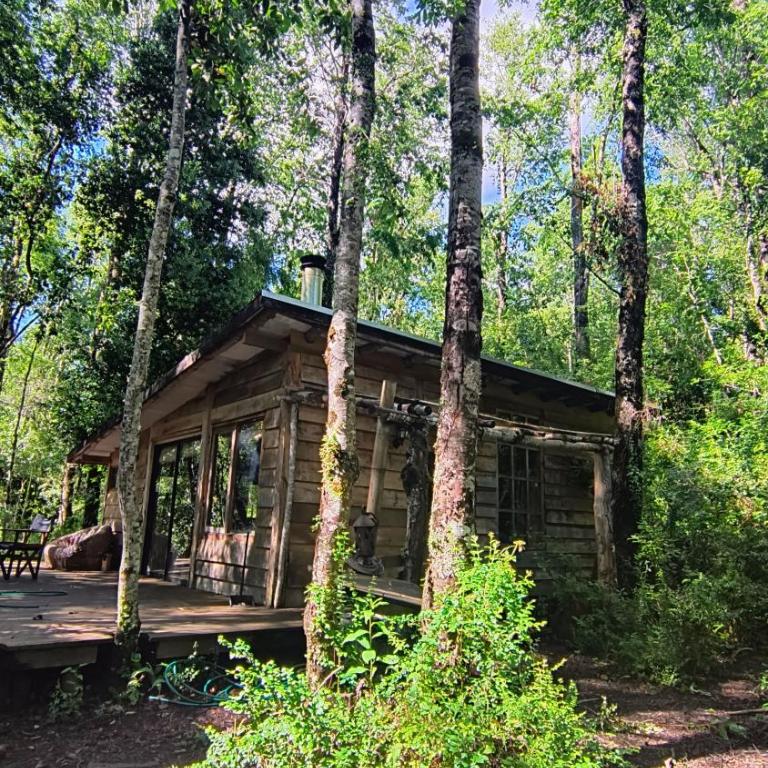 Refugio Nothofagus - One-Bedroom Chalet - 10