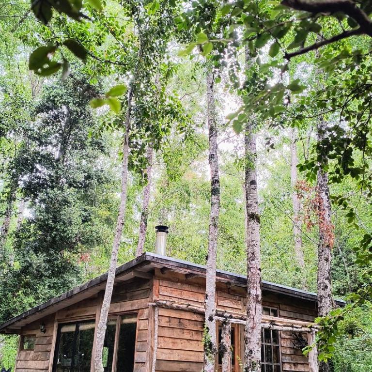 Refugio Nothofagus - One-Bedroom Chalet - 19