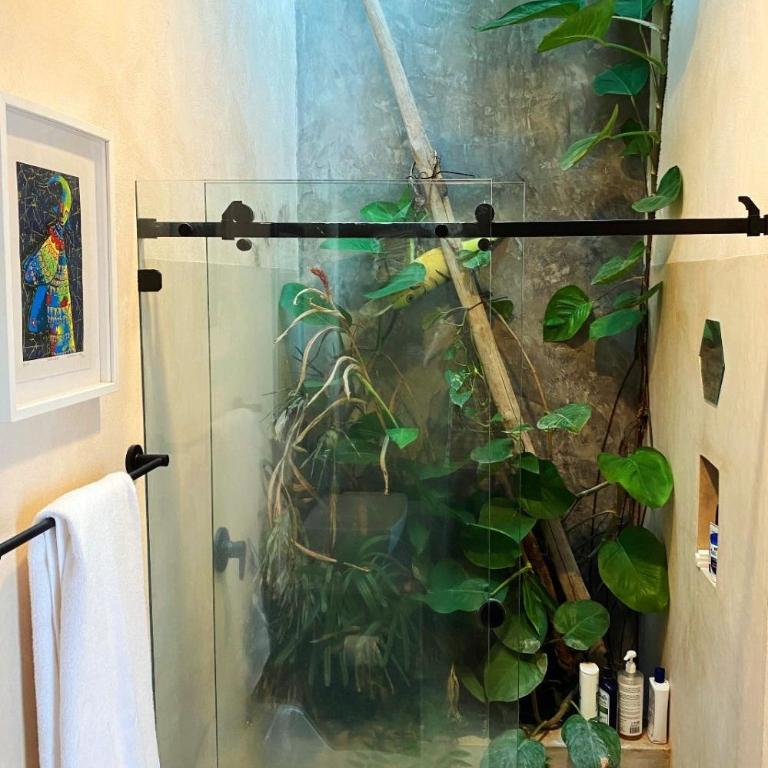 Encantadora casa tropical - Casa de 3 dormitorios - 18