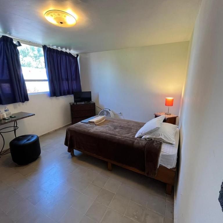 Casa Orquidea Querétaro - Three-Bedroom House - 9