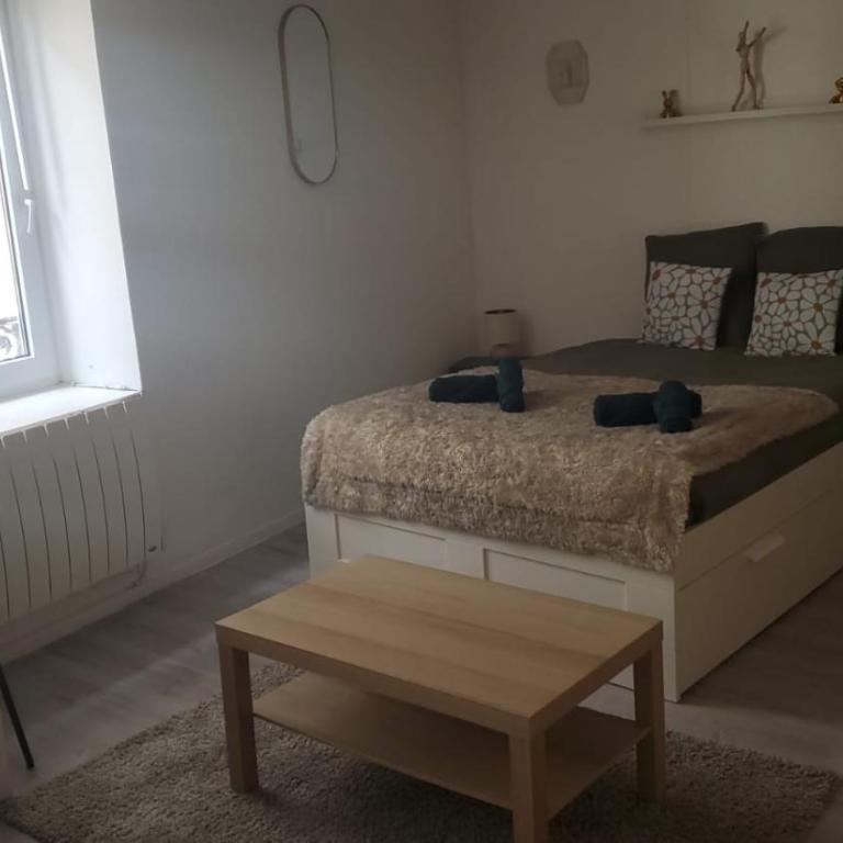 Le Cocon Volcanique - Studio in central Clermont - Appartement 1 Chambre - 7