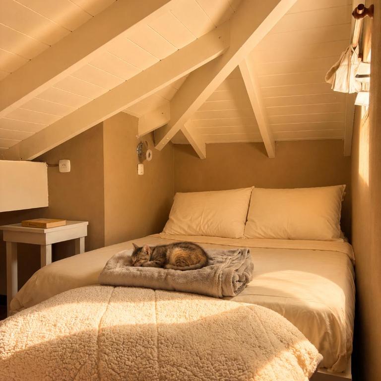 CABAÑA AURORA, con parque y pileta en Complejo El Solicito - Habitación Familiar - 4
