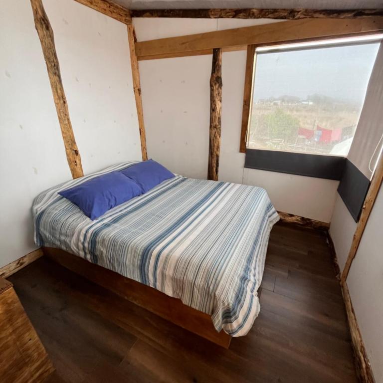 nido de mar - Apartamento de 1 dormitorio - 2