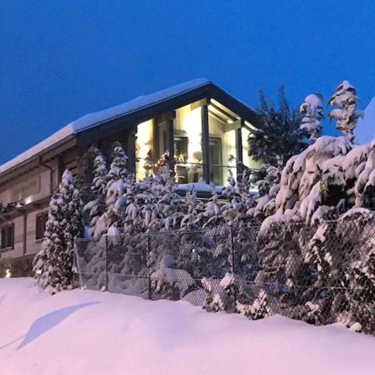 Chalet avec animaux acceptés - Gérardmer - FR-1-589-858 - Maison de Vacances - 35