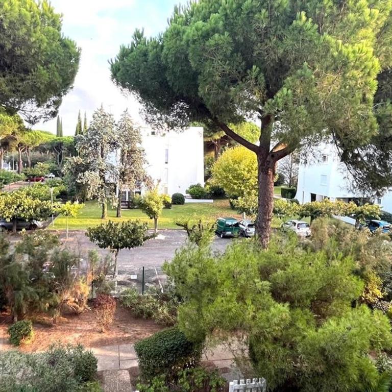 Studio cabine - proche plage, 4 pers. - FR-1-874-88 - Estudio - 5