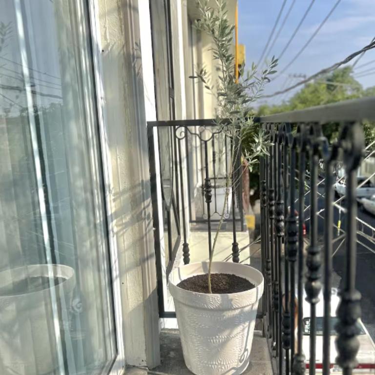Tlaquepaque Juarez - Apartment - 11