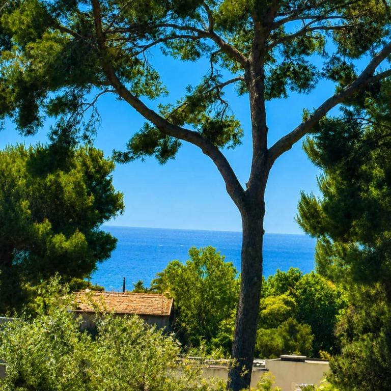 Villa contemporaine de standing Antibes 3 Chbres - 6 Pers - PiscineParking - Villa - 4