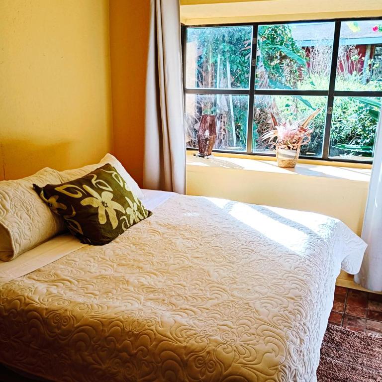 Beautiful cabin on Easter Island - One-Bedroom House - 1