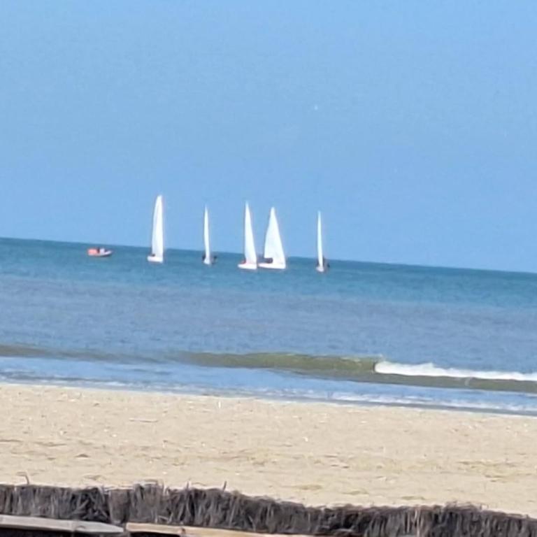 Super Deauville appartement 2 pièces cosy proche plage plein sud - Apartment mit 1 Schlafzimmer - 23