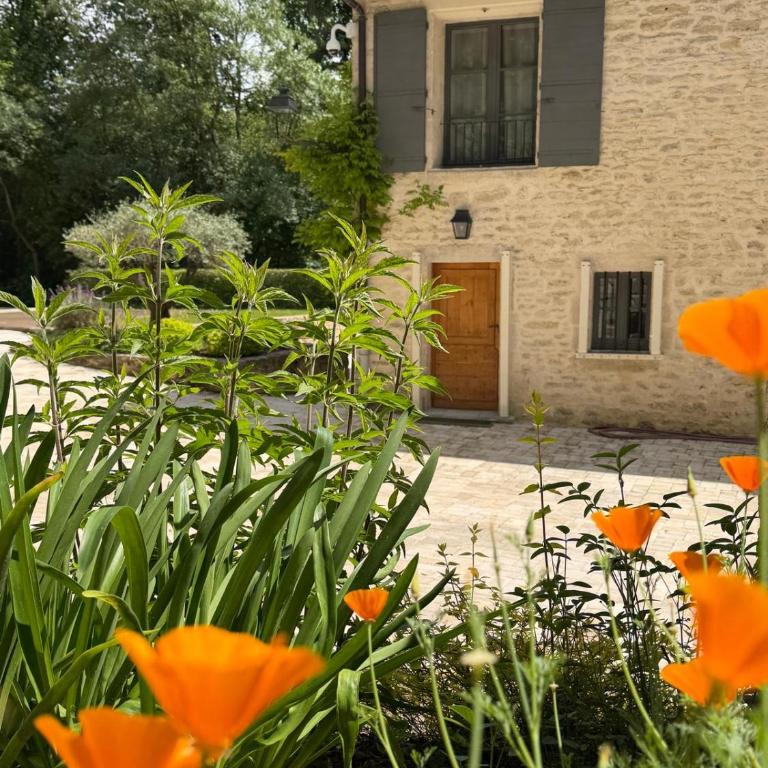 Moulin de Carrière, dans un parc de 2 hectares à Uzès - Chambre Familiale Deluxe - 10