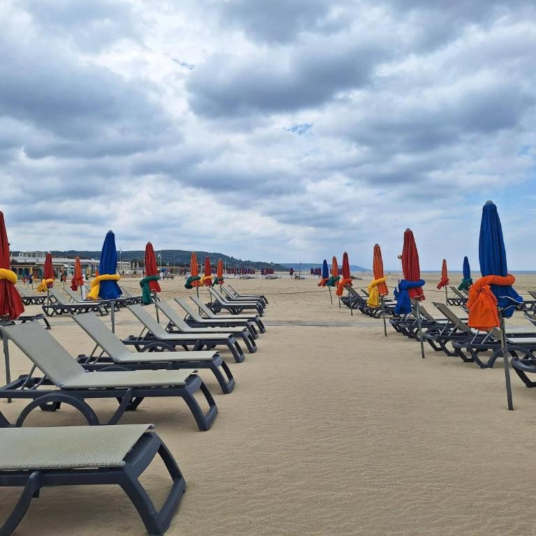 Super Deauville appartement 2 pièces cosy proche plage plein sud - Apartment mit 1 Schlafzimmer - 22