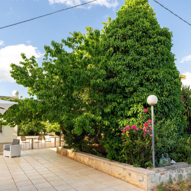 I Tre Trulli - One-Bedroom House - 20