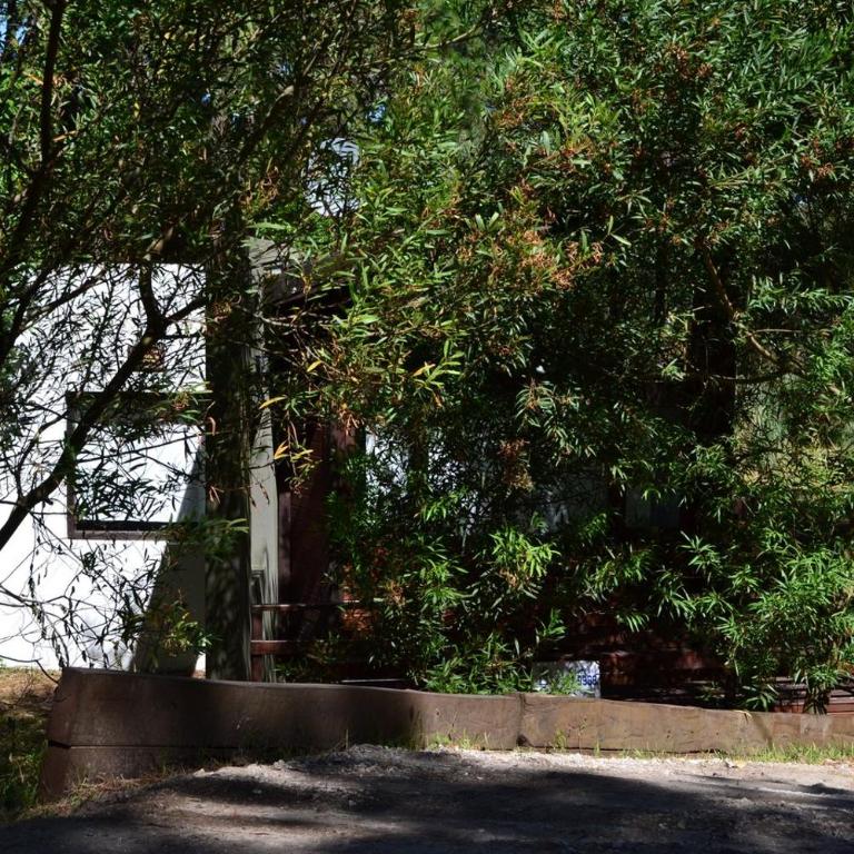 Las Cortaderas - One-Bedroom House - 14