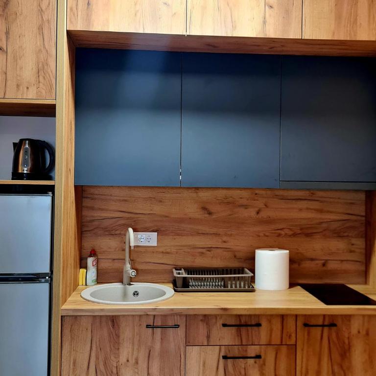 DM Vrnjacka - Apartman sa 1 Spavaćom Sobom - 8