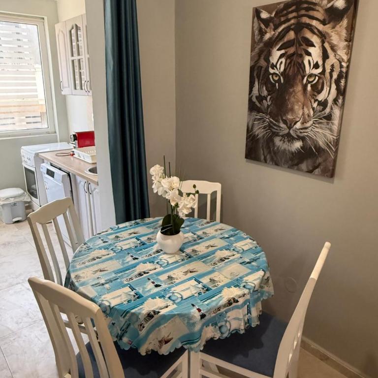 Lovely 1-bedroom apartment in Budva - One-Bedroom Apartment - 2