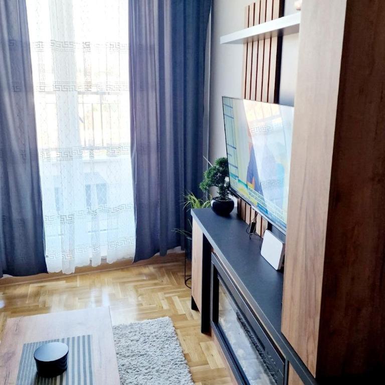 DM Vrnjacka - Apartman sa 1 Spavaćom Sobom - 16