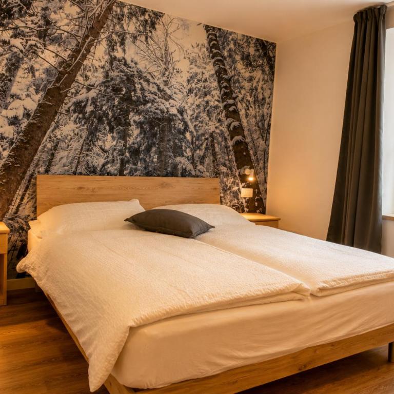 Erica - Apartamento - 6