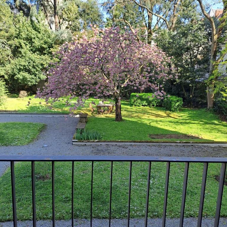 Joli appartement T3 proche centre et proche gare - Apartamento de 1 dormitorio - 4
