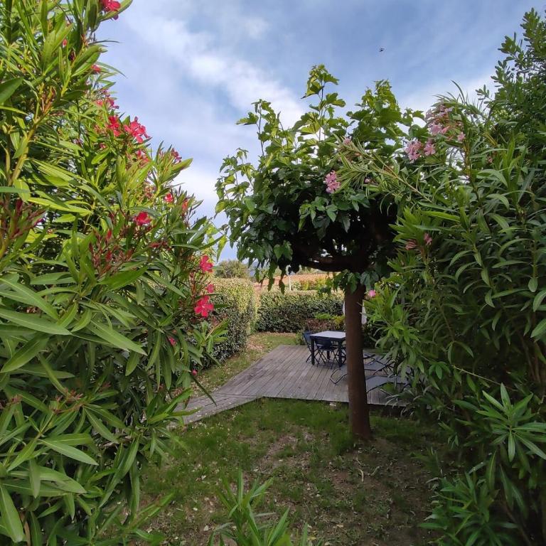 T2 Picculu - Garden, swimming pool, 4 ppl, parking - Appartamento con 1 Camera da Letto - 10
